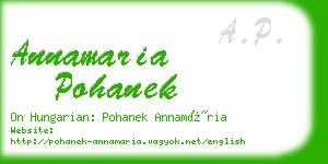 annamaria pohanek business card